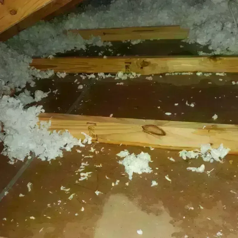 Attic Water Damage in Lake Elsinore, CA