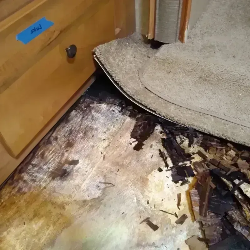 Best Wood Floor Water Damage Service in Lake Elsinore, CA